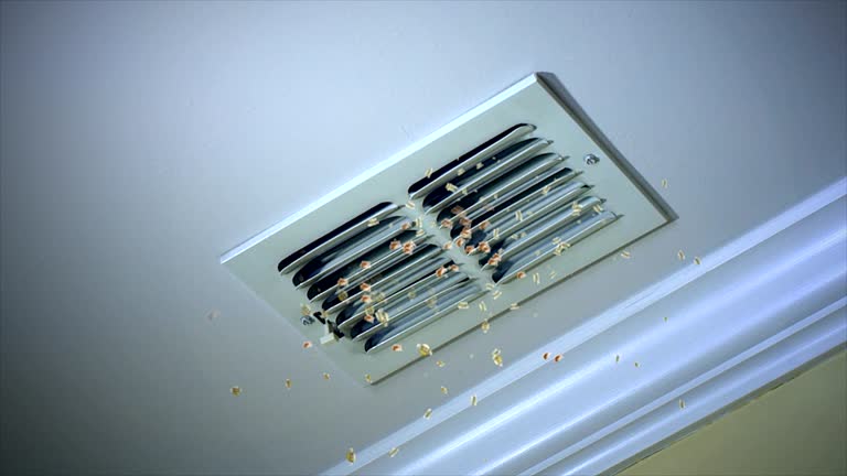 Best Ventilation Cleaning Services  in Mountain Home Af, ID